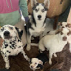 Meet your Posher, Sandy